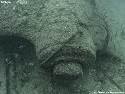 The salvaged propeller